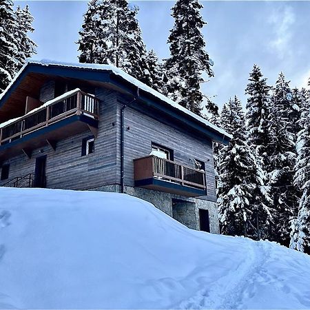Apartman Pod Demaenovskou Horou ديمانوفْشكا دولِنا المظهر الخارجي الصورة